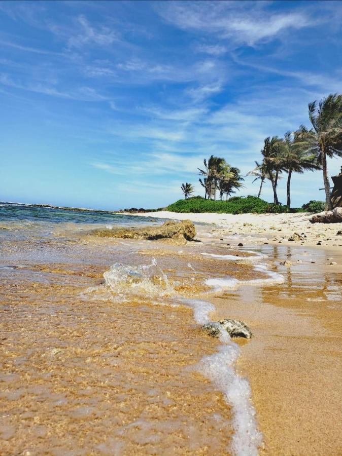 Vive Utila - Bed & Breakfast Exterior foto