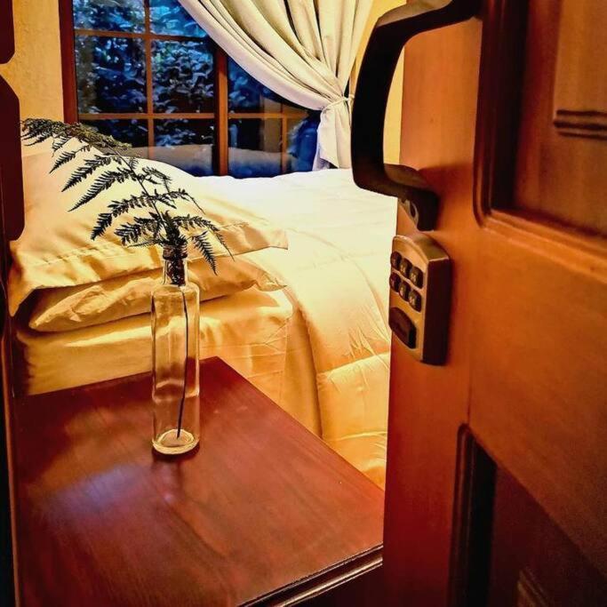 Vive Utila - Bed & Breakfast Exterior foto