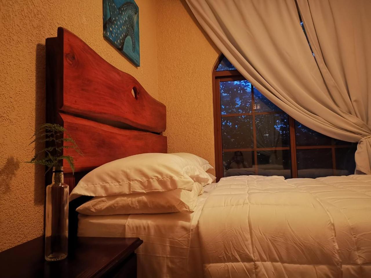Vive Utila - Bed & Breakfast Zimmer foto